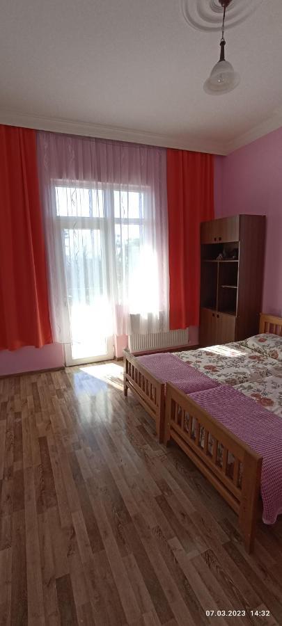 Olesya Guesthouse Мцване-Концхі Екстер'єр фото
