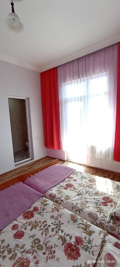 Olesya Guesthouse Мцване-Концхі Екстер'єр фото